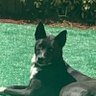 reyevalo's profile picture