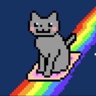 kiddo's profile picture