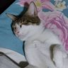 Profilbild von Rom Asti