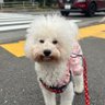 今宵もブルー 🌈 profil fotoğrafı