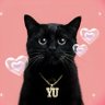 Фото профиля ララ🐈⬛🤍