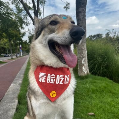 12daybei's profile picture