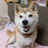 Фото профиля みかん