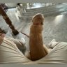Seni seviyorum profil fotoğrafı