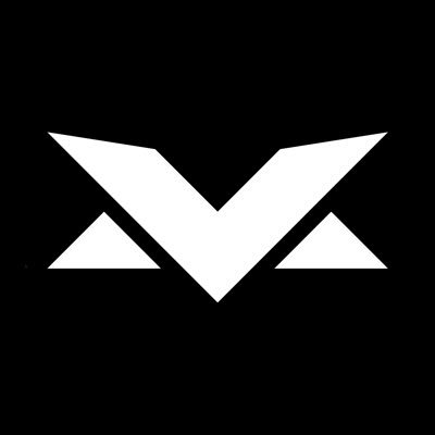 Max Verstappen's profile picture
