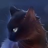 猫兄 profil fotoğrafı