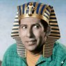 Sultan🇪🇬 profil fotoğrafı