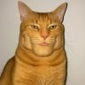 OldCat♤🪙💰 profil fotoğrafı