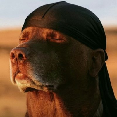 CybaTW's profile picture