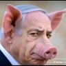 Profilbild von free palestine