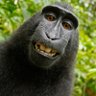 tjing profil fotoğrafı