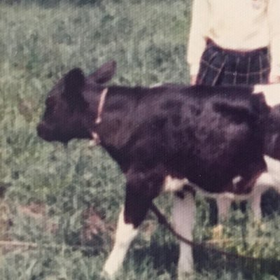 5884_hnty's profile picture