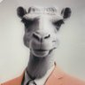 Profilbild von Amine Nima