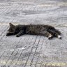attemplife profil fotoğrafı