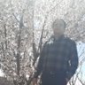 مهدی کرناسی 的头像