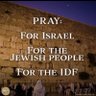 🇮🇱🇺🇸 love you israel 的头像