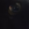 ibeefuzzy's profile picture