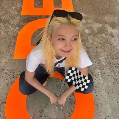 mel 🐢🍷🏁🪞⚔️🦋's profile picture