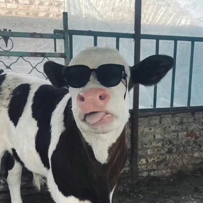 C O W's profile picture