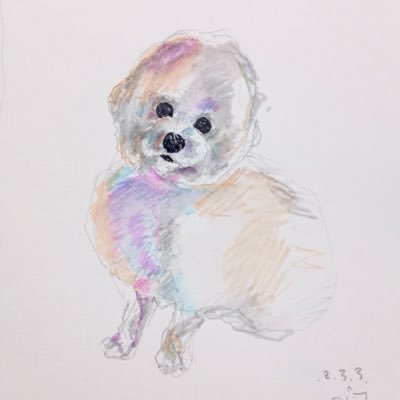 𝘄𝗮𝘁𝗮𝗸𝗸𝗼's profile picture