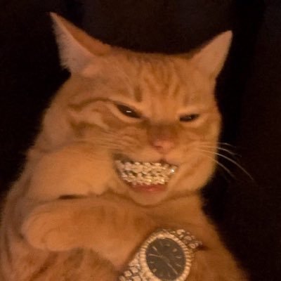OkiogaTerry's profile picture