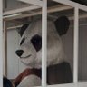 閲覧マン(2億V雷神)'s profile picture