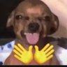 咔咔秋's profile picture