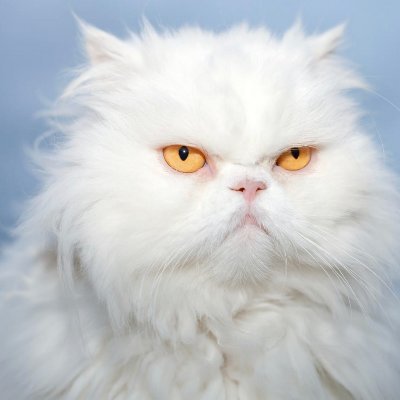 juan son's profile picture