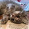 Фото профиля _____QWQ____