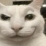 Profilbild von Aspen