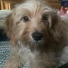 Darlene McCastle profil fotoğrafı