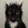 llllllllIIIllI's profile picture