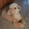 Profilbild von NancyLou