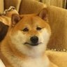 Bogu's profile picture