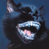 Profilbild von se Ro