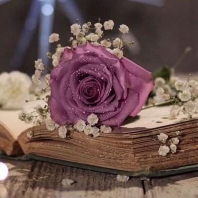 alharbi_9_9's profile picture
