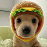 Profilbild von puuppsky