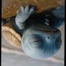 durtle profil fotoğrafı