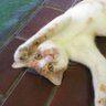 林武文 profil fotoğrafı