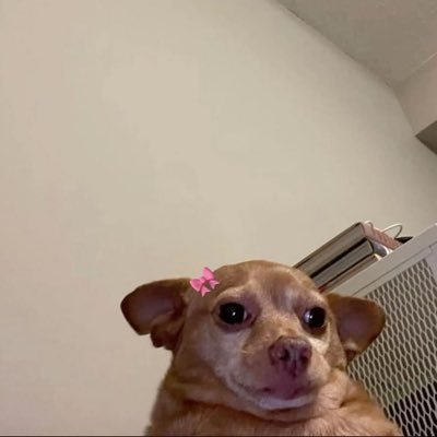 Iam_Sinayo's profile picture