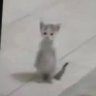 mysticlemonn ⚢ profil fotoğrafı