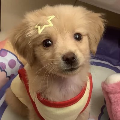 Bam478619583957's profile picture