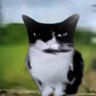 EchoAsh's profile picture