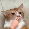 Profilbild von MR.Tine (❖,❖)