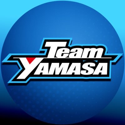 【公式】TeamYAMASA's profile picture