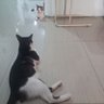 ๐ ็ๅคดๅ