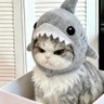 Фото профиля น้องปอไม่ได้น่ารักสําหรับทุกคน 🙃随便!