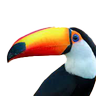 Mith profil fotoğrafı