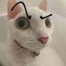 Lisador 1kg's profile picture