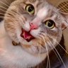 Kathleen's profile picture